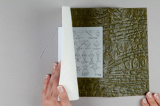 Rachel Lawson Design