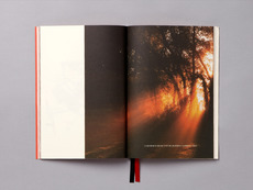 Manhattan Loft Corporation - Steven Camp