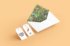 TODAY IS THE DAY - studioahha