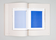 Walid Raad – Scratching on Things — Carvalho Bernau