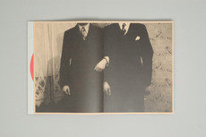 Dr. Jekyll und Mr. Hyde; Buch : JUNG + WENIG