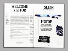 Floris van Driel – Graphic Design / Pionen White Mountain