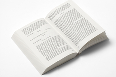 The Crossdresser’s Secret, Brian O’Doherty - OK-RM