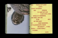 jena myung — Word Earth Sound book